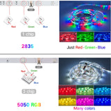 20/25/30M LED RGB Lights Strip + Bluetooth Waterproof 2835 Control+Adapter - Assorted Buy Online